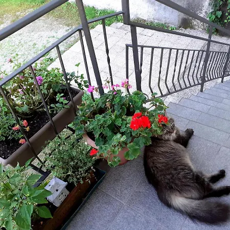 Le Girandole Комо